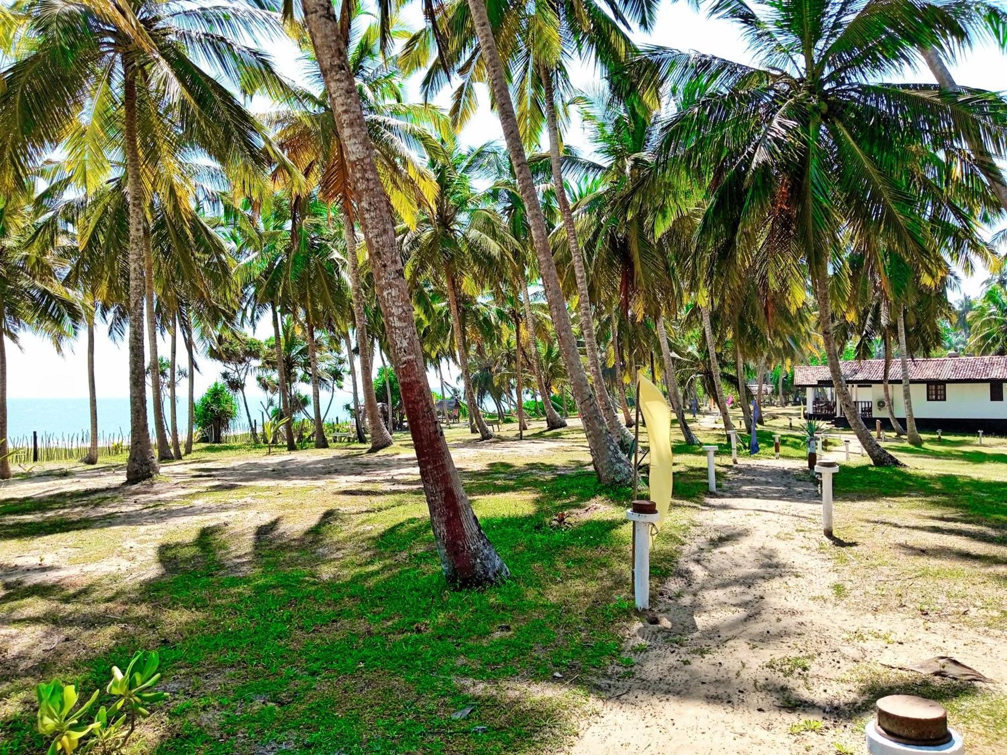 Helios Beach Resort Tangalle Exterior foto